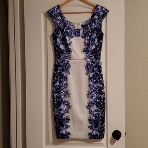 WHBM Dress White with blue florals.